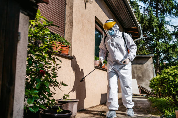 Best Cockroach Control Services  in Coshocton, OH