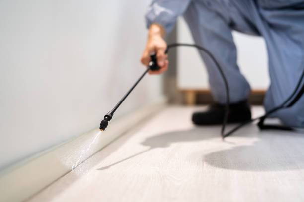 Best Flea Control Services  in Coshocton, OH