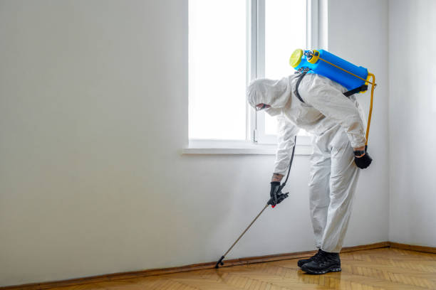 Best Bed Bug Extermination  in Coshocton, OH