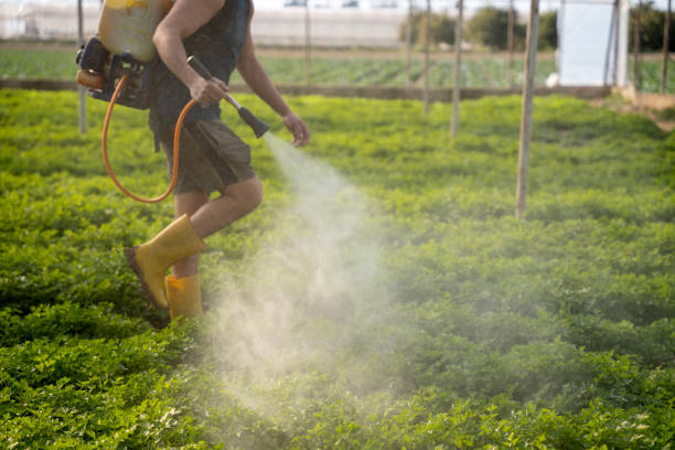Best Commercial Pest Control Services  in Coshocton, OH