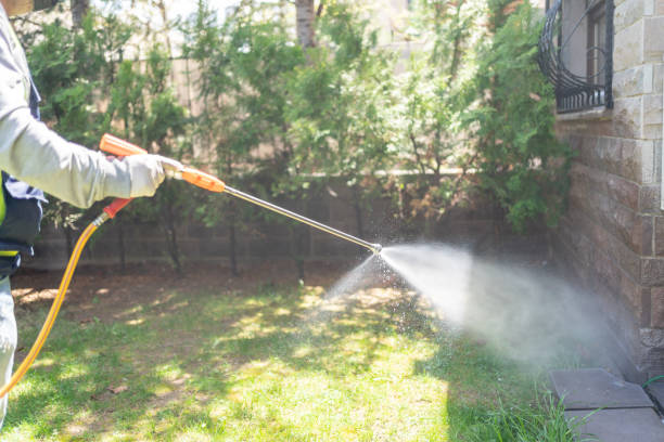 Flea Control Services in Coshocton, OH
