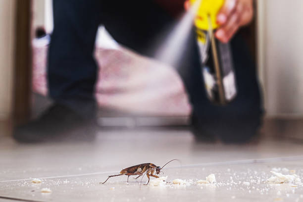 Best Pest Control for Businesses  in Coshocton, OH