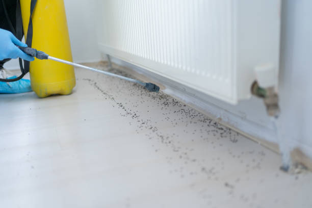Best Pest Prevention Services  in Coshocton, OH