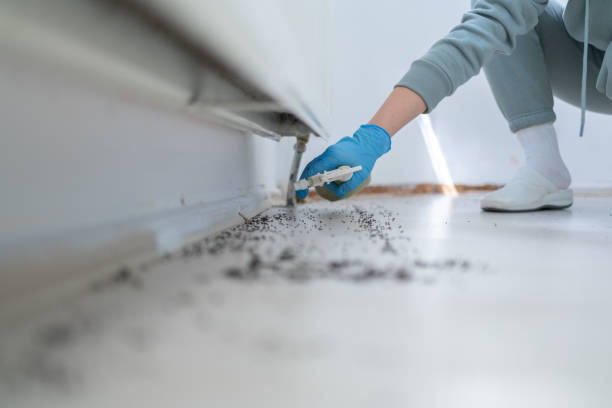 Best Residential Pest Control  in Coshocton, OH